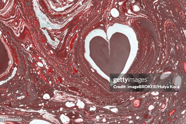 ebru marble conch effect surface pattern design for print - conch stock illustrations