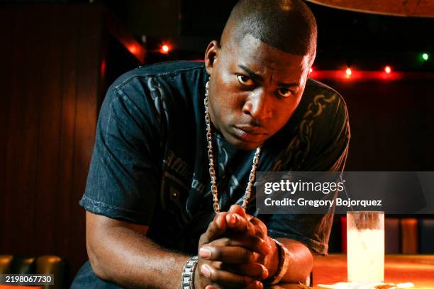 David Banner Rapper Skip American rapper, record producer and actor David Banner in September ...