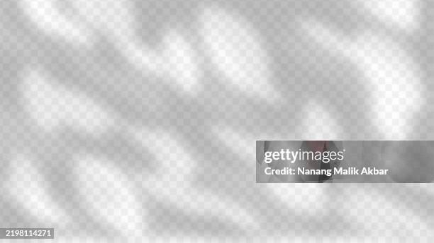 ilustraciones, imágenes clip art, dibujos animados e iconos de stock de sombra de árbol y hoja con fondo transparente. maqueta de efecto de superposición de sombras para plantilla de diseño. - superposición-de-sombras