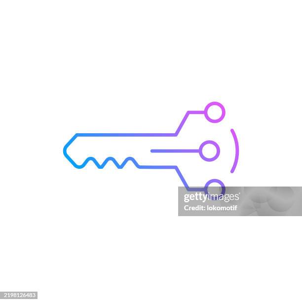illustrazioni stock, clip art, cartoni animati e icone di tendenza di icona della linea di colore sfumata della chiave privata. l'icona è adatta per il web design, le app mobili, l'interfaccia utente, l'ux e la progettazione gui. - tasto-di-computer