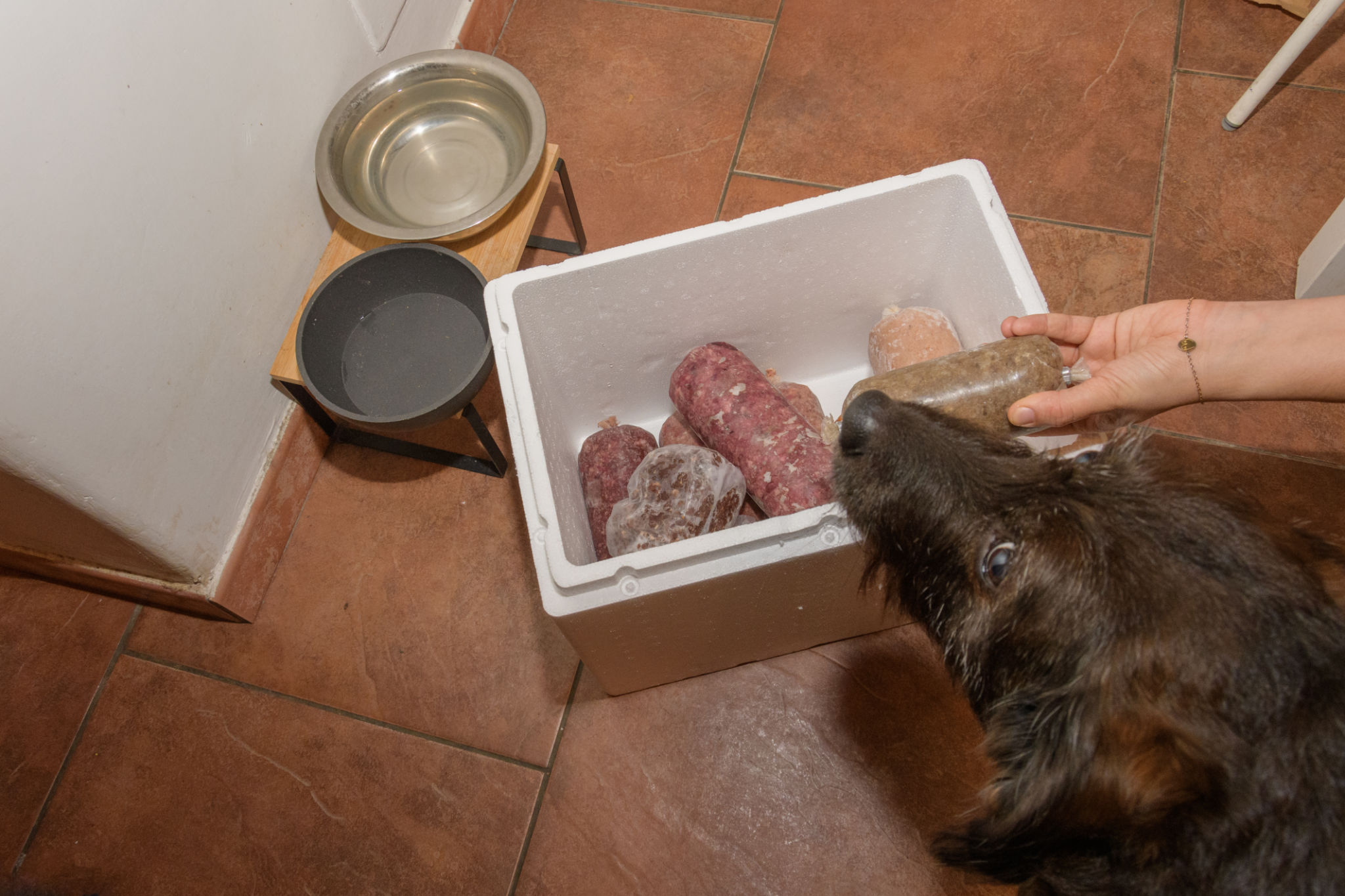 puppy food bag