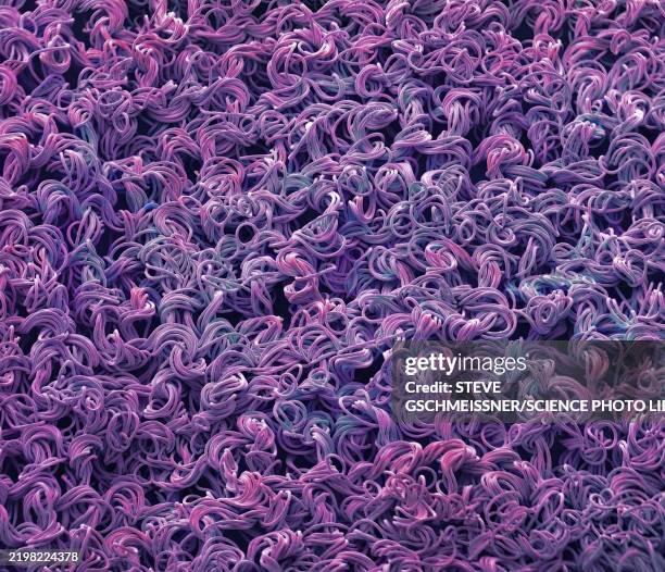 nylon tights fibres, sem - electron micrograph stock pictures, royalty-free photos & images
