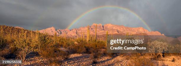 panorama arcobaleno nel deserto di sonora - deserto del sonoran foto e immagini stock
