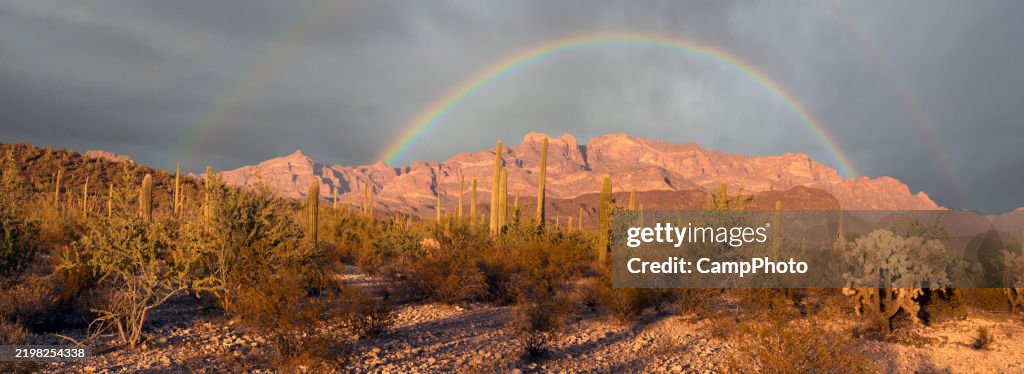 Panorama do arco-íris do deserto de Sonora