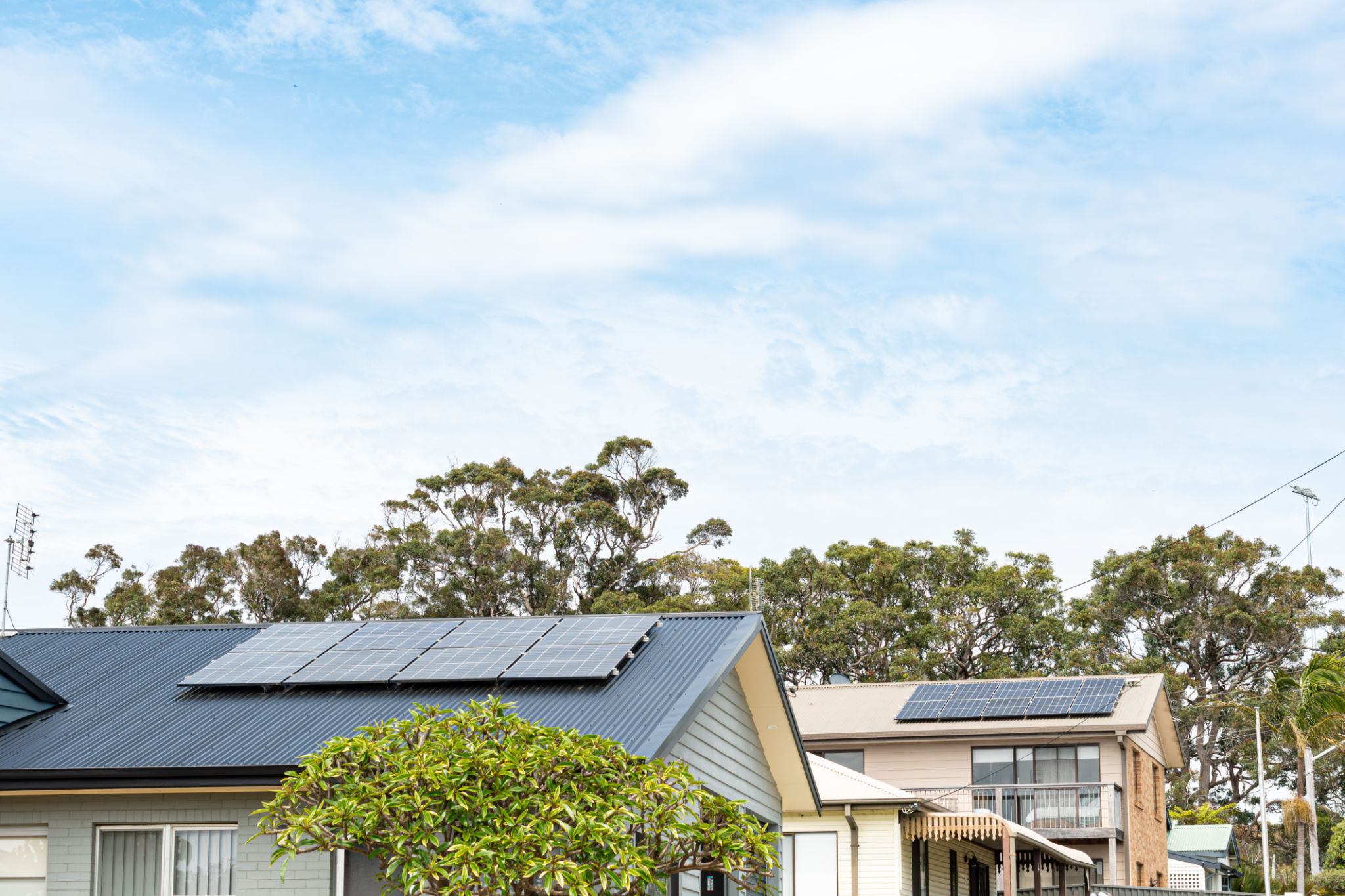Rooftop solar panels on two houses in a leafy suburb with trees and shrubs with a clear view of the sky Rooftop solar panels on two houses in a leafy suburb with trees and shrubs with a clear view of the sky