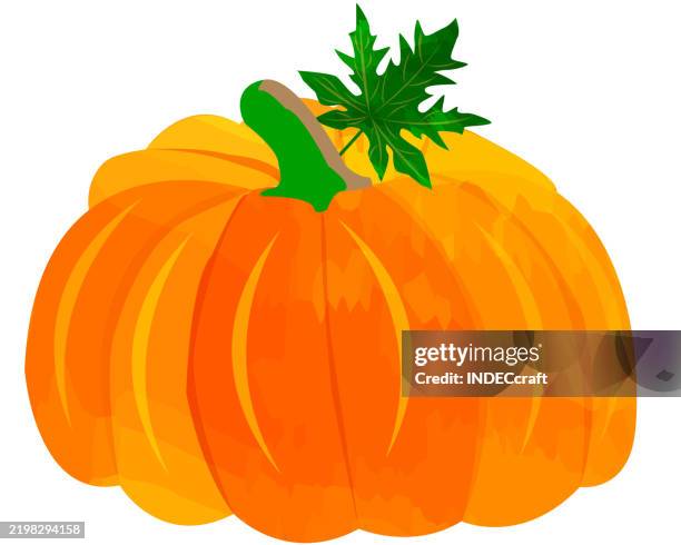pumkin - pumpkin patch stock illustrations