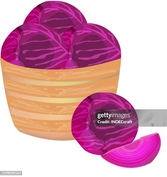 red cabbage on bowl - red cabbage stock illustrations