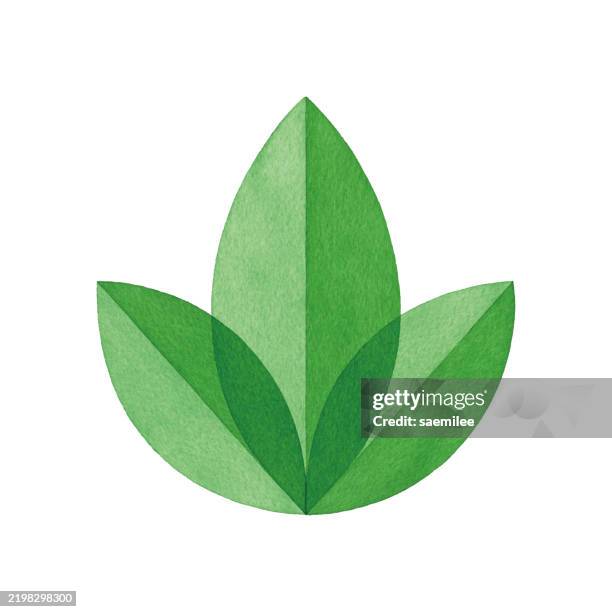 watercolor geometric green leaves design - leaf logo stock illustrations