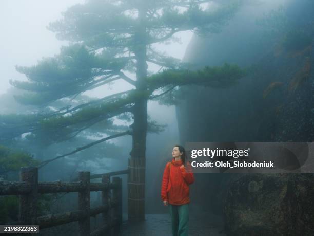 woman near the iconic pine tree in huangshan national park in fog - pine pink stock pictures, royalty-free photos & images