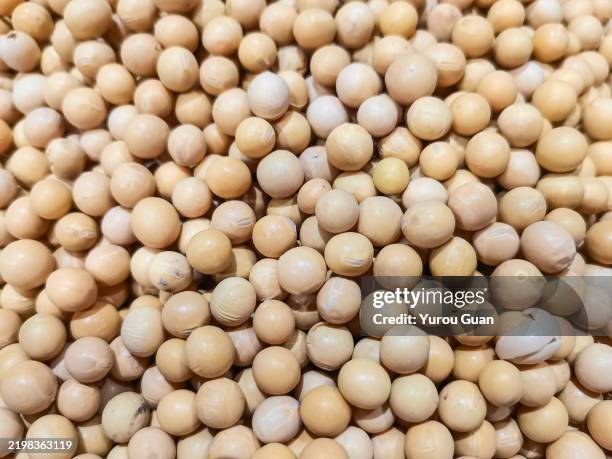 soybean.a pile of soybeans. - vegetarian loaves stock pictures, royalty-free photos & images