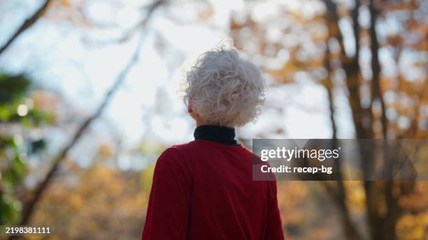 senior woman smiling amid autumn trees - só uma mulher idosa imagens e fotografias de stock
