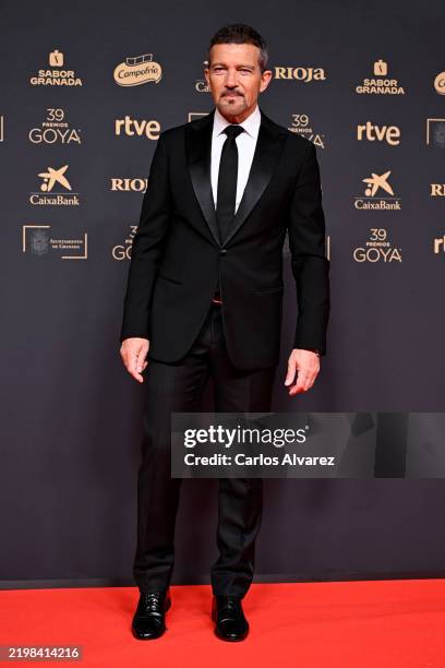 Antonio Banderas attends the red carpet during Goya Cinema Awards 2025 at the Granada Conference & Exhibition Centre on February 08, 2025 in Granada,...
