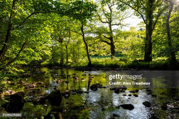 Rithay 82 River Rothay Stock Photos, High-Res Pictures, and Images - Getty Images