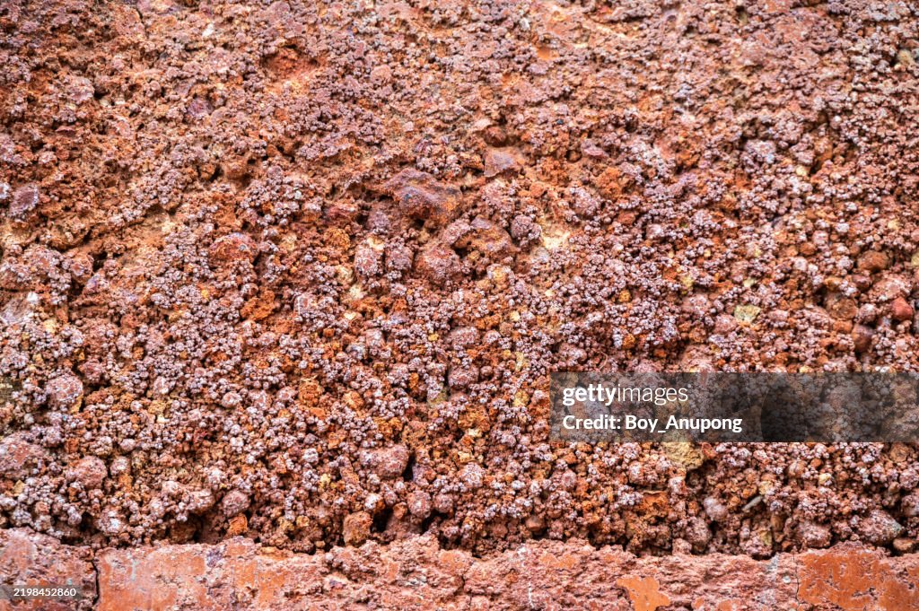 Full frame shot of rough texture of clay house structure.