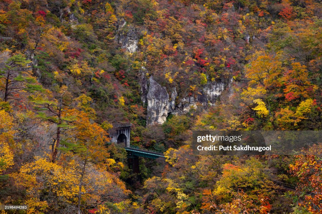 Fall Foliage at Naruko Gorge with Ofukazawa Bridge in Tohoku region, Japan