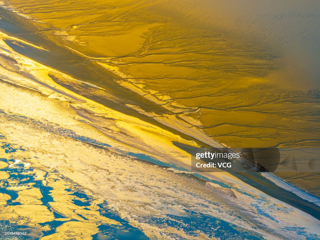 Tree-shaped Patterns Appear On Frozen Qiantang River