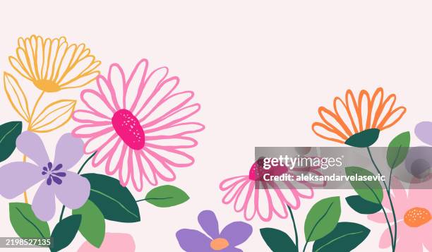 handgezeichnete gänseblümchen blumen und blätter hintergrund - blütenblatt stock-grafiken, -clipart, -cartoons und -symbole
