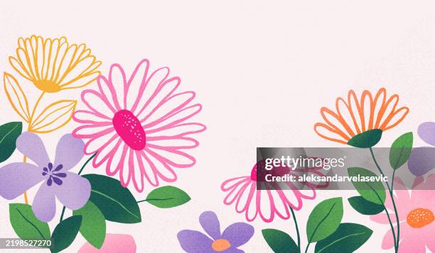 ilustrações de stock, clip art, desenhos animados e ícones de hand drawn daisy flowers and leaves background - parte de planta