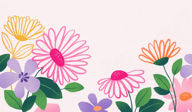 hand drawn daisy flowers and leaves background - spring background stock illustrations