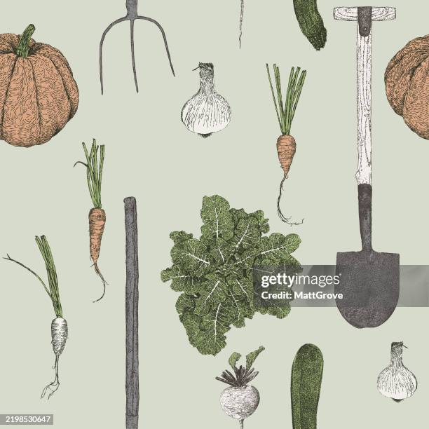 gardening repeat vegetables and tools - vegetable patch stock illustrations