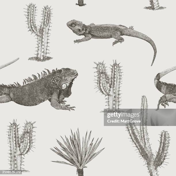 lizard iguana cactus and palm repeat - cactus pattern stock illustrations
