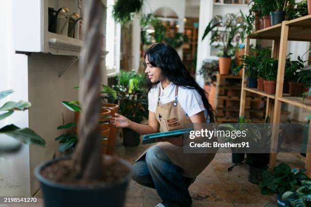 young saleswoman checking plants with tablet in a flower shop - inventory management stock pictures, royalty-free photos & images