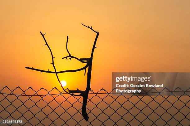 palestine light, security & hope - magazine blank cover stock pictures, royalty-free photos & images
