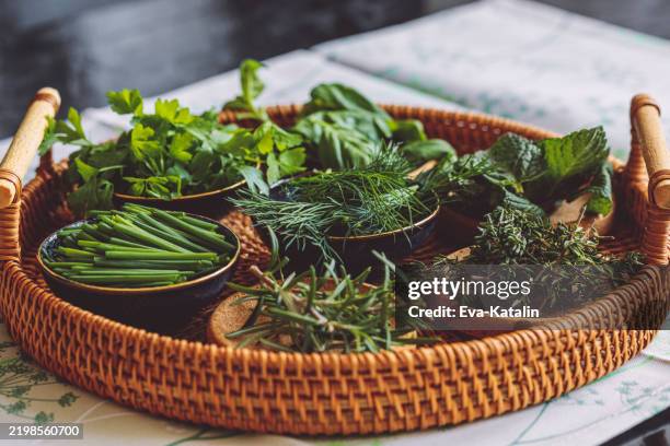 green spices and herbs - fitoterapia imagens e fotografias de stock