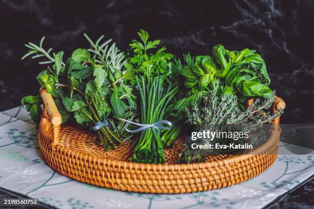 green spices and herbs - fitoterapia imagens e fotografias de stock