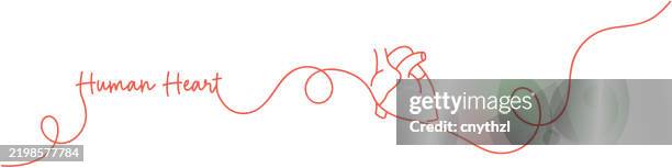 continuous line drawing of human heart icon. hand drawn symbol vector illustration. - coronary artery disease icon stock illustrations