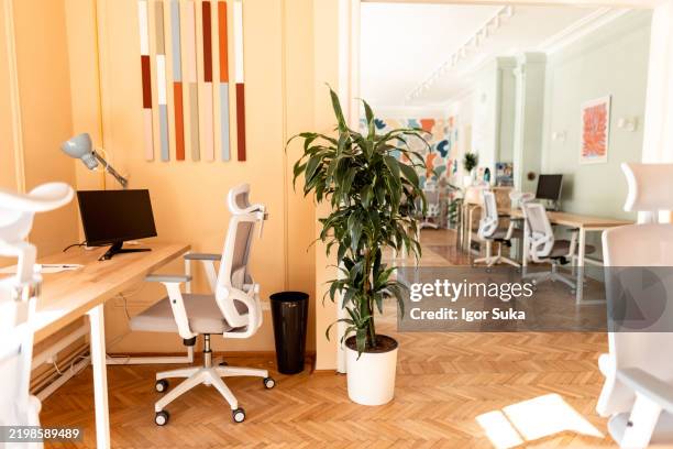 modern coworking space with comfortable chairs and plants creating a productive environment - ergonomie stockfoto's en -beelden
