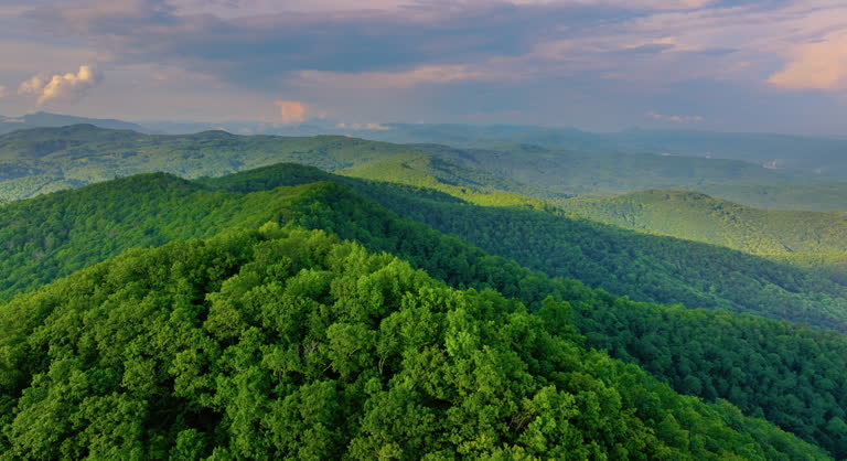 https://media.gettyimages.com/id/2198611240/video/bright-sunset-in-smokey-mountains-summer-woods-appalachian-mountains-in-north-carolina-with.jpg?b=1&s=640x640&k=20&c=VKQFRNL7sBknWtGEG8KbSwtkC1zErFSlrUwxzxQhveQ=