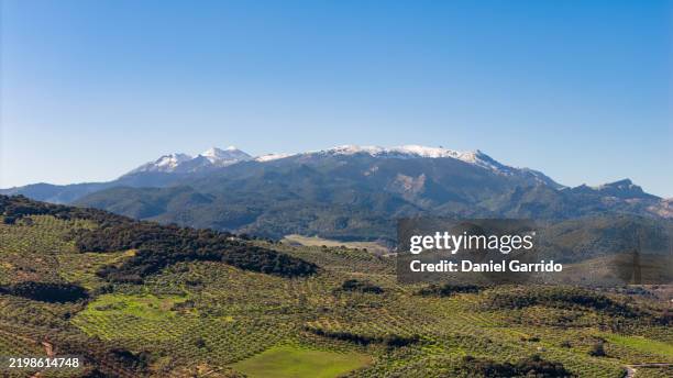 aerial view of the sierra de las nieves national park in malaga with snow-capped peaks. - andalucia stock pictures, royalty-free photos & images