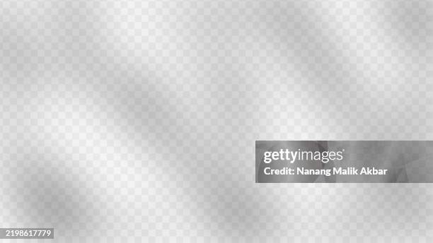 tree and leaf shadow with transparent background. shadow overlay effect mockup for design template. - tree shadow wall stock illustrations