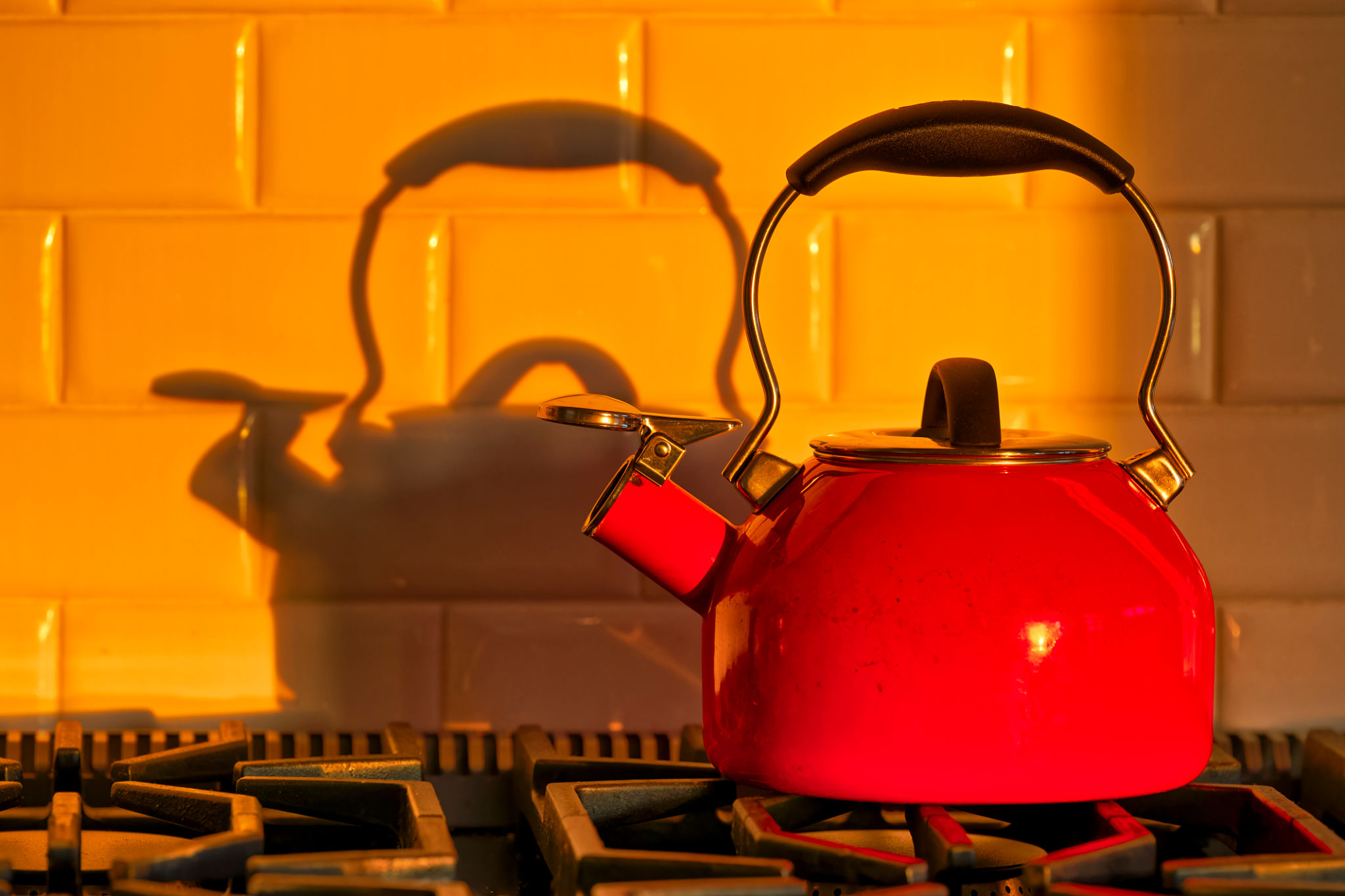 traditional kitchen appliances