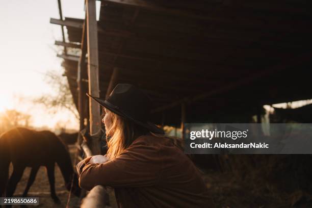 portrait of a ranch girl - stallion stock pictures, royalty-free photos & images