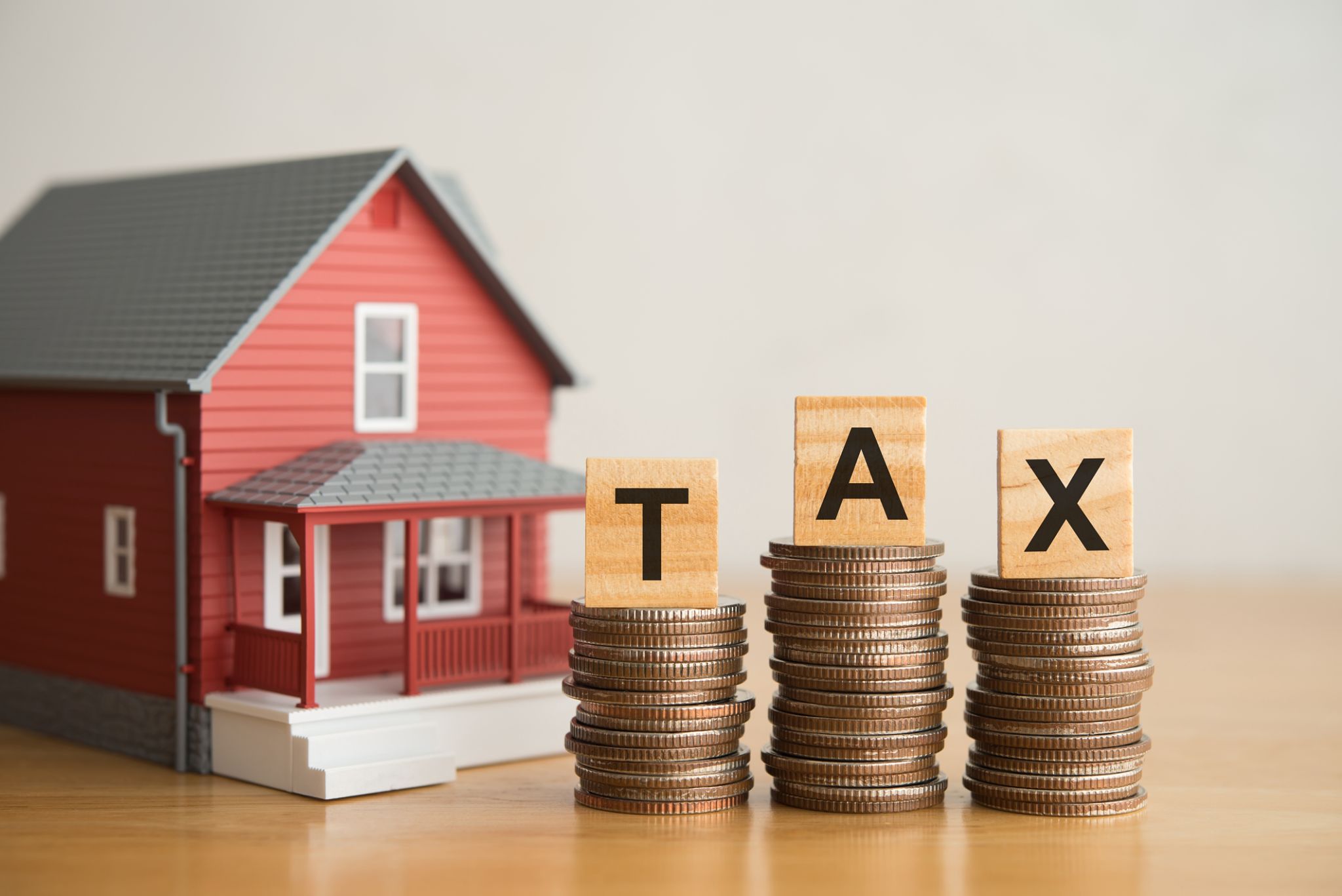 property tax form