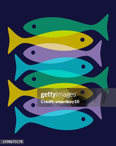 Fish Fish