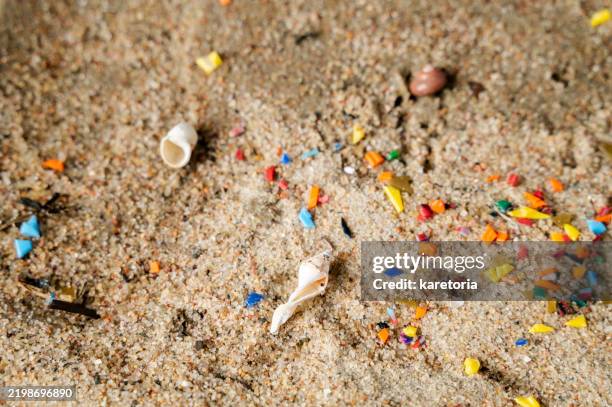 microplastic particles on wet beach sand next to seashells - tierkörper stock-fotos und bilder