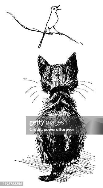 cat looking at bird - 19th century - etching stock illustrations