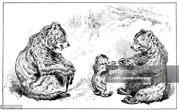 bear family watching baby take first steps - 19th century - three bears stock illustrations
