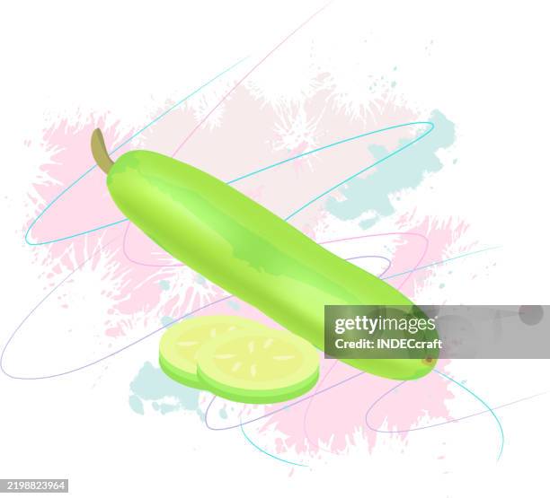 bottle gourd - cross section ground stock illustrations