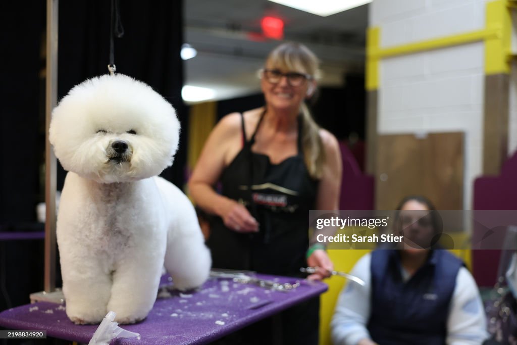 149th Annual Westminster Kennel Club Dog Show – Group Judging (Hound, Toy, Non-Sporting, Herding)