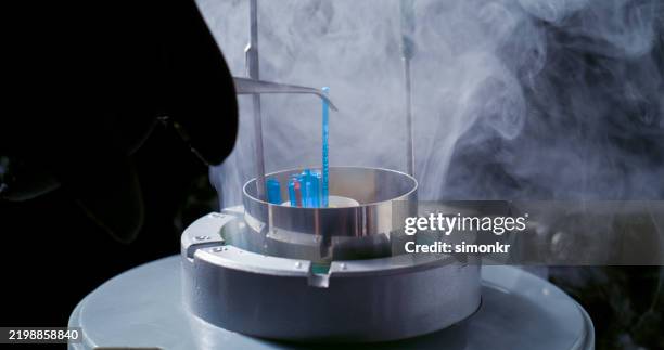 clinica veterinaria che maneggia materiali sensibili alla temperatura - scompartimento di immagazzinaggio foto e immagini stock