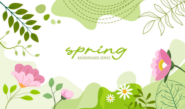 abstract simply background with natural line arts - spring theme - - spring background stock illustrations