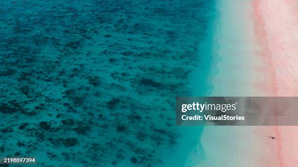 relaxing by turquoise ocean at pink beach - pink lagoon stock pictures, royalty-free photos & images