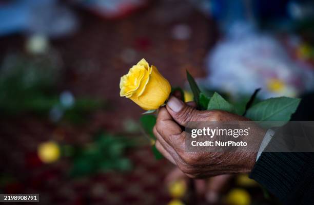 Person holds a yellow rose in a street flower shop in Guwahati, India, on February 14 on the occasion of Valentine's Day. Valentine's Day, celebrated...