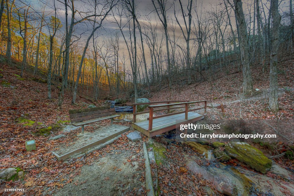 Bridge Over Pickle Creek