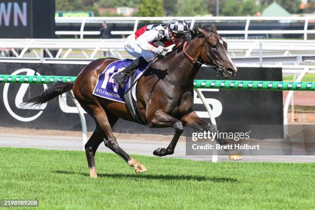 Sepals ridden by Blake Shinn wins the CS Hayes Stakes at Flemington Racecourse on February 15, 2025 in Flemington, Australia.