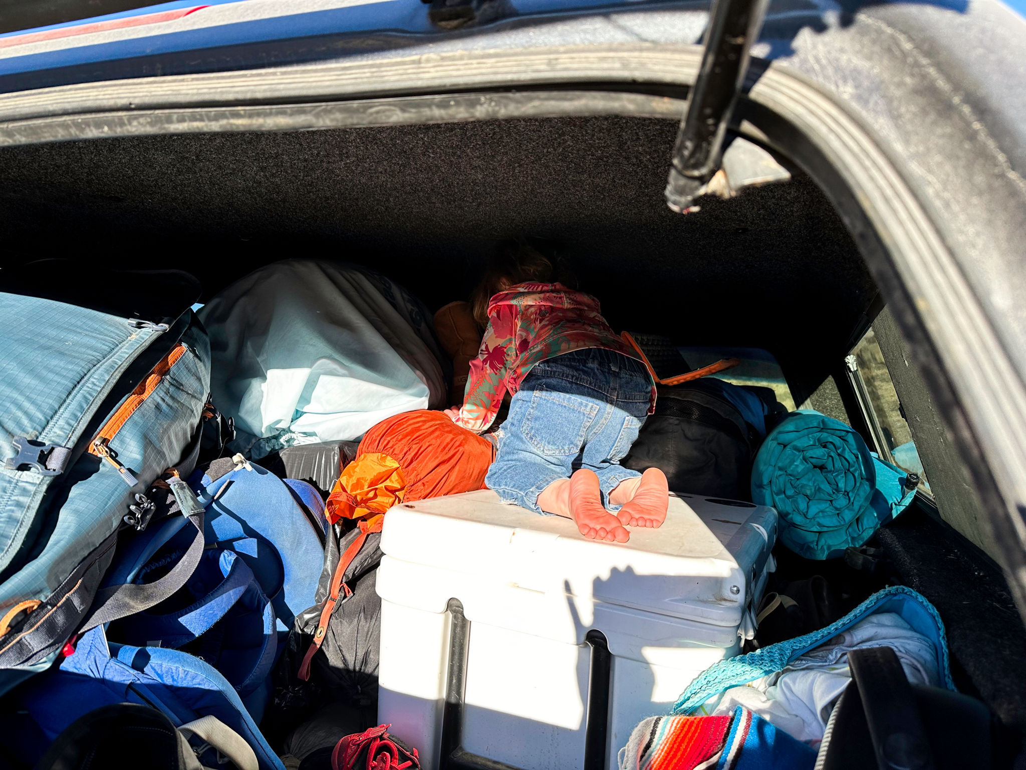 desert packing